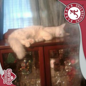 Meet your Posher, Karen